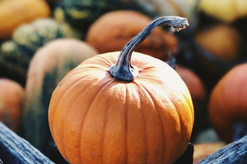 collection of pumpkins in a wagon