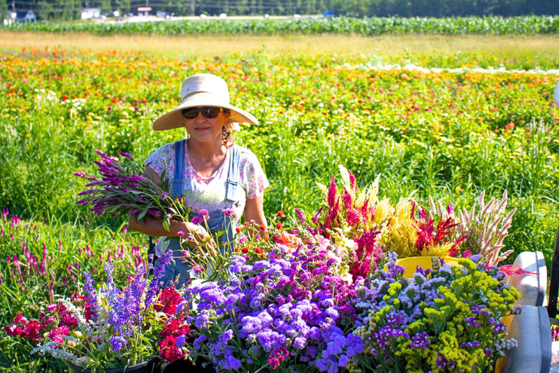 Woman standing by colorful flowers in a field