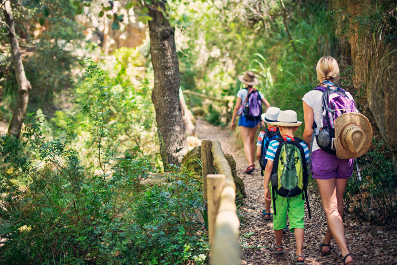 family hiking in lush forest area